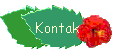 Kontak
