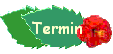 Termin