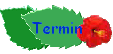 Termin