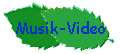 Musik-Video