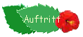 Auftritt