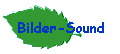 Bilder-Sound