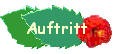 Auftritt