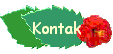 Kontak