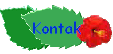 Kontak